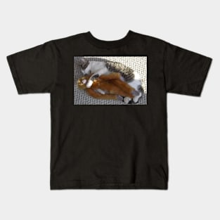 Kitten with his Monkey Kids T-Shirt